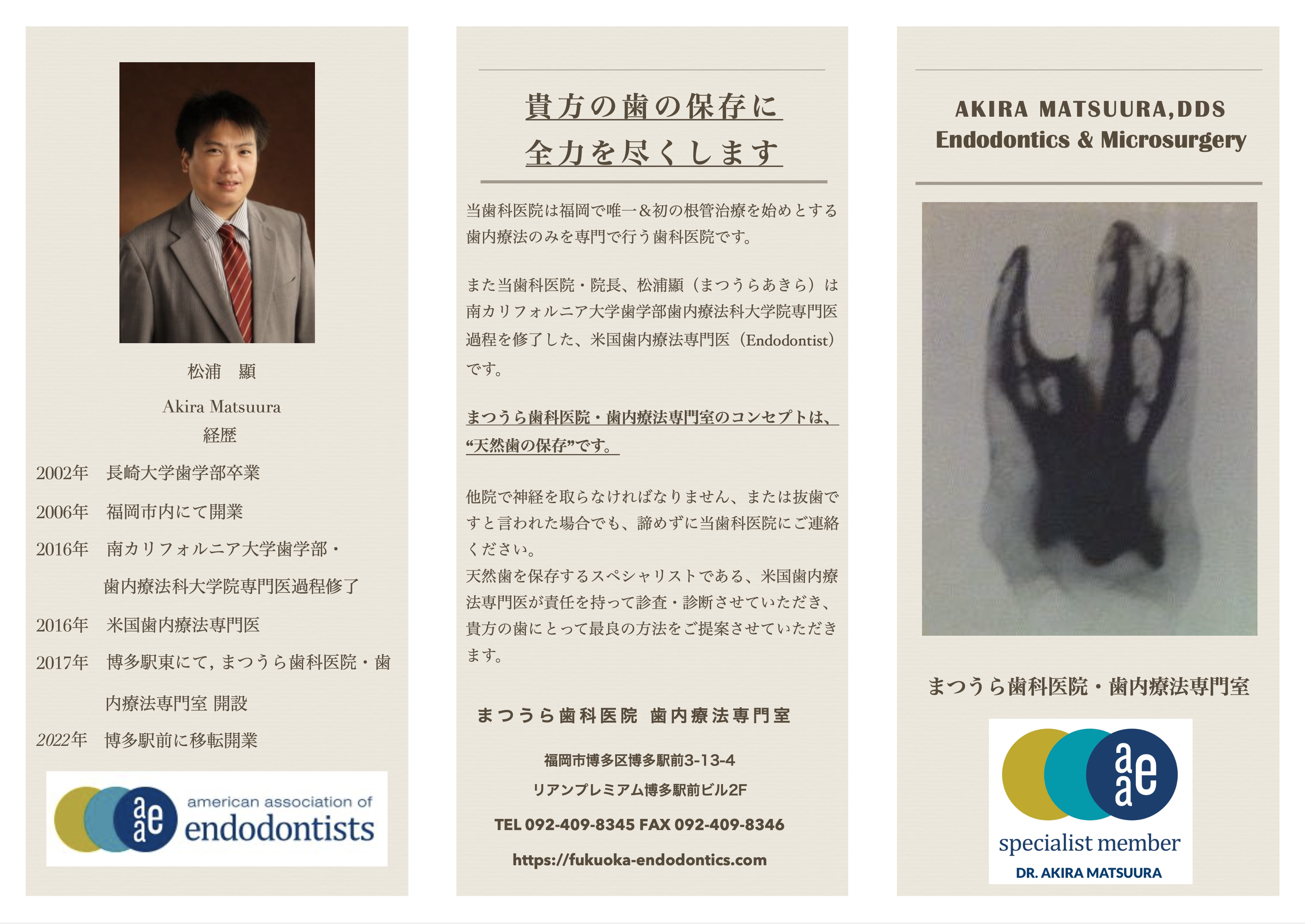 歯科医師の方へ（当院への患者紹介方法） - まつうら歯科医院 歯内療法